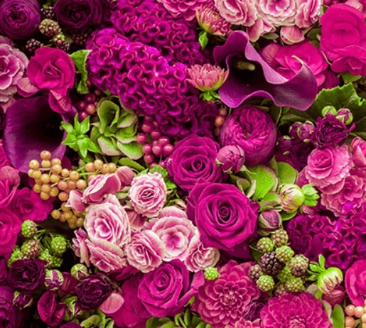 Flower Farming Software