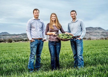 Chili processing & manufacturing software