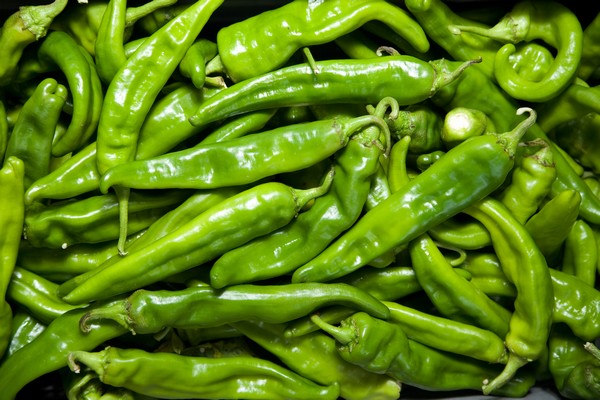 Chili processing & manufacturing software