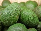 Avocado Packing & Processing Solution Avocado Oil