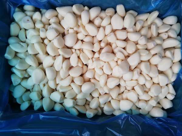 Frozen fresh fruit vegetable IQF processing & quality solution