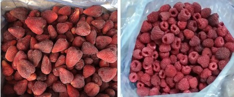 Frozen fresh fruit vegetable IQF processing & quality solution