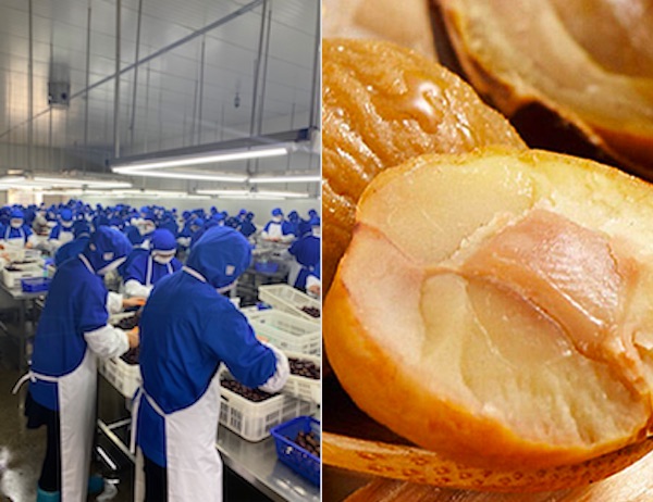 Frozen fresh fruit vegetable IQF processing & quality solution