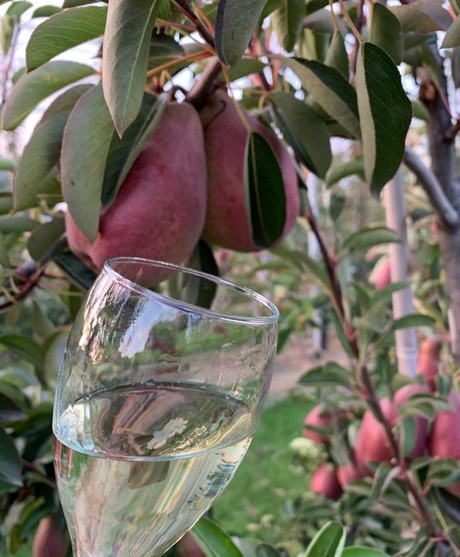 Apple packing solution for apple packers & processors