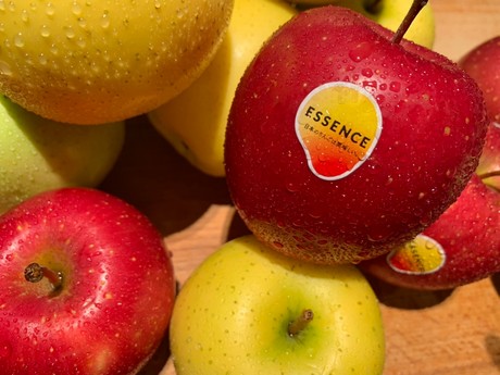 Apple packing solution for apple packers & processors