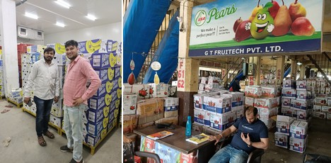 Apple packing solution for apple packers & processors