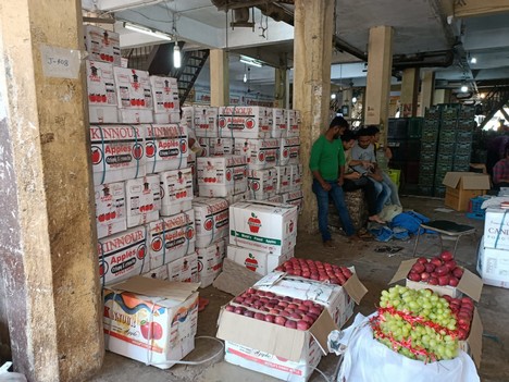 Apple packing solution for apple packers & processors