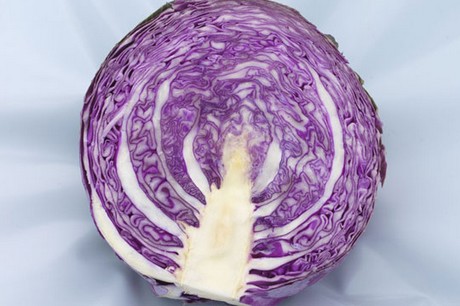 Coleslaw production, packing, sales distribution food service software