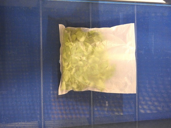 Salad & loose leaf packing of mixed salad & lettuce