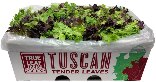 Salad & loose leaf packing of mixed salad & lettuce