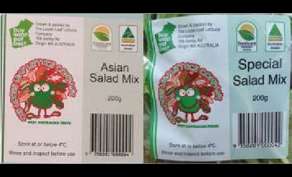 Salad & loose leaf packing of mixed salad & lettuce