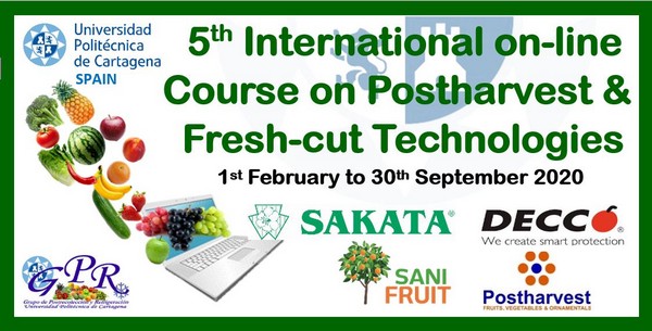 Fresh cut packing, storage, fresh cut sales & traceability