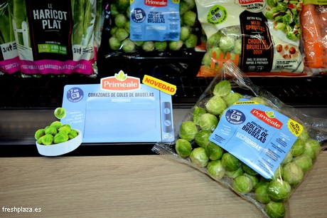 Fresh cut packing, storage, fresh cut sales & traceability