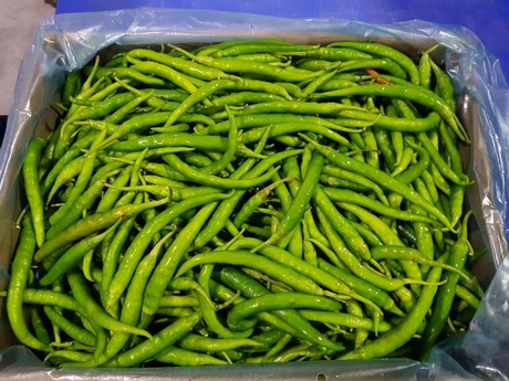 Chili processing packing chili powder manufacturing quality control inventory
