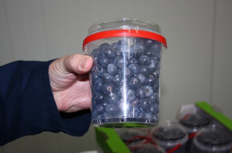 Berry packing & processing inventory QC traceability by farmsoft reduces waste and increases productivity