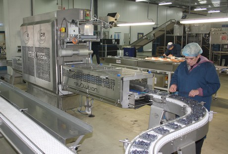 Berry packing & processing inventory QC traceability by farmsoft reduces waste and increases productivity