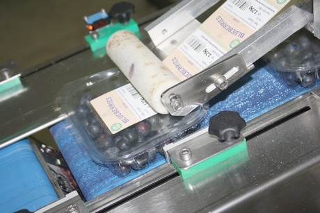 Berry packing & processing inventory QC traceability by farmsoft reduces waste and increases productivity