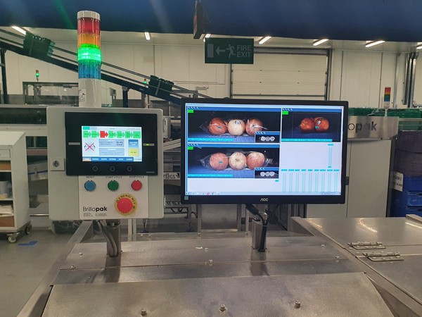 Fruit packing system