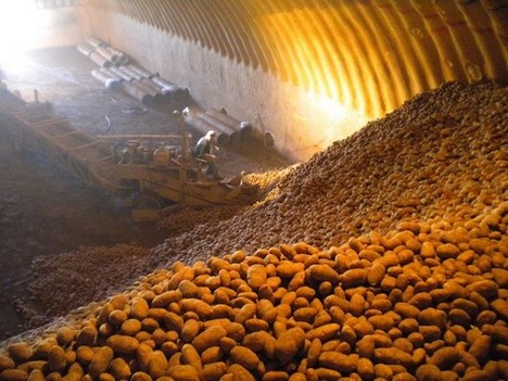 Perishable inventory management software