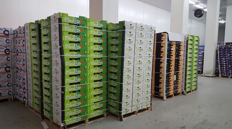 Fresh produce import packing data fruit vegetables
