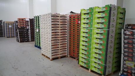 Fresh produce import packing data fruit vegetables