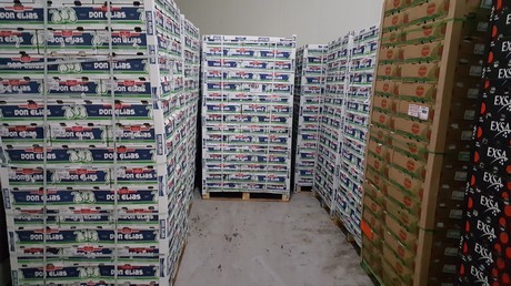 Fresh produce import packing data fruit vegetables