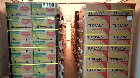 Fresh produce import packing data fruit vegetables