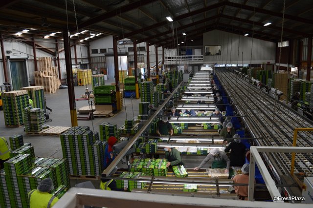 Packhouse job management