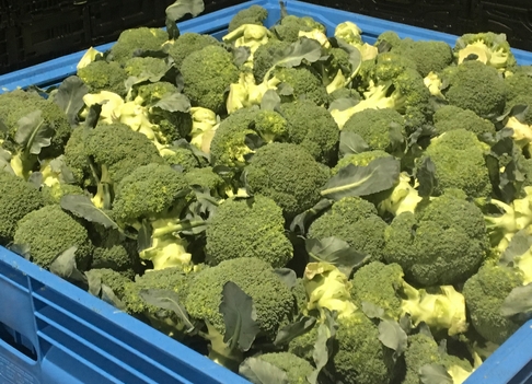 Fresh produce inventory reports