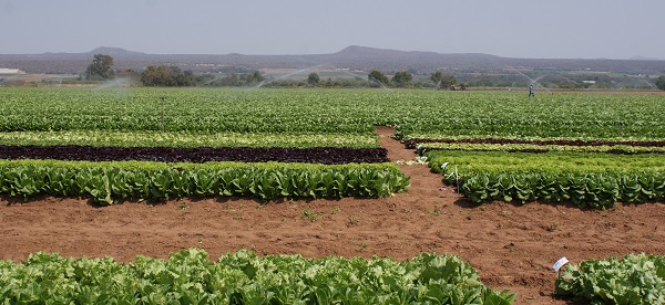 Fresh produce price list management