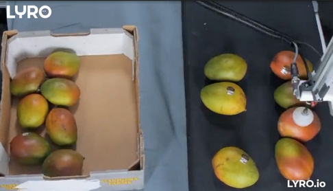 Multi Site Packing of fresh produce