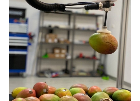 Multi Site Packing of fresh produce