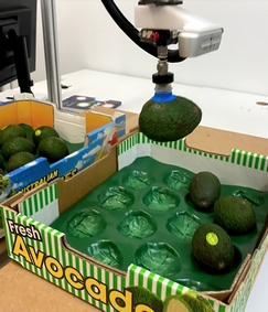 Multi Site Packing of fresh produce