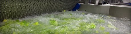 Fresh produce management system