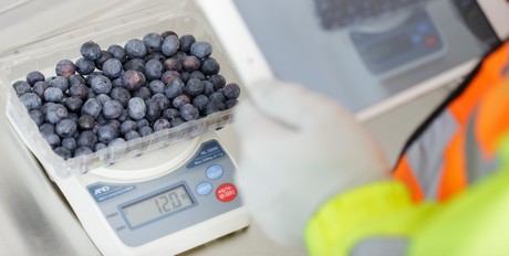Quality control for fresh produce