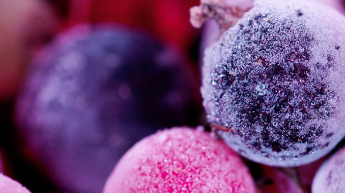 Fruit juice manufacturing squeezing quality control & processing