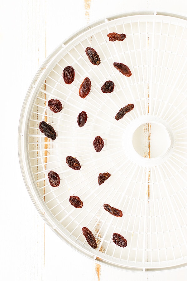 Dried fruits are a great snack to include in kids' school lunches! Try your hand at making them with this tutorial.
