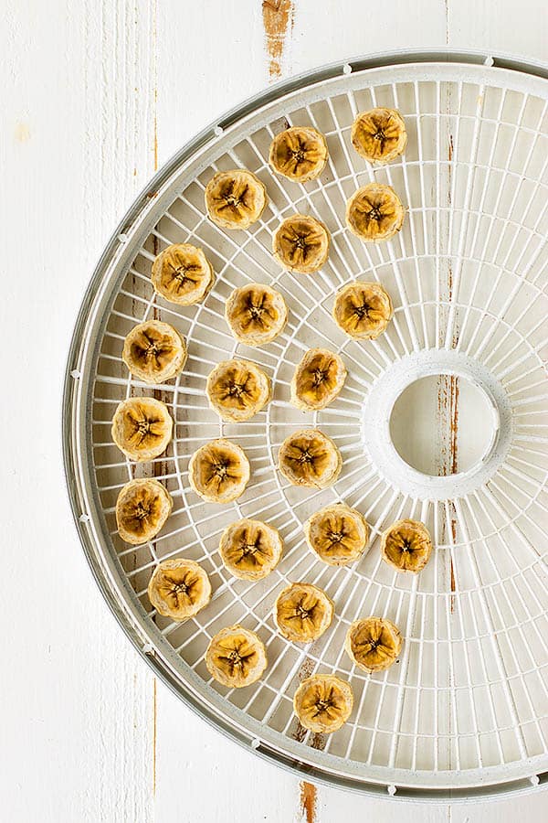 Learn easy ways to dehydrate fruit right at home and save money!