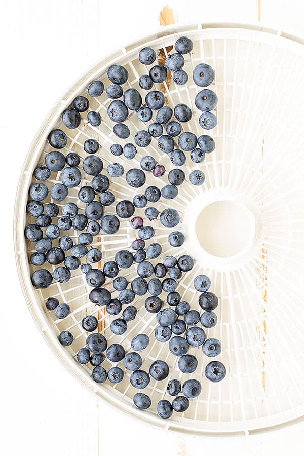 Learn the techniques for dehydrating fruit times and temperatures!
