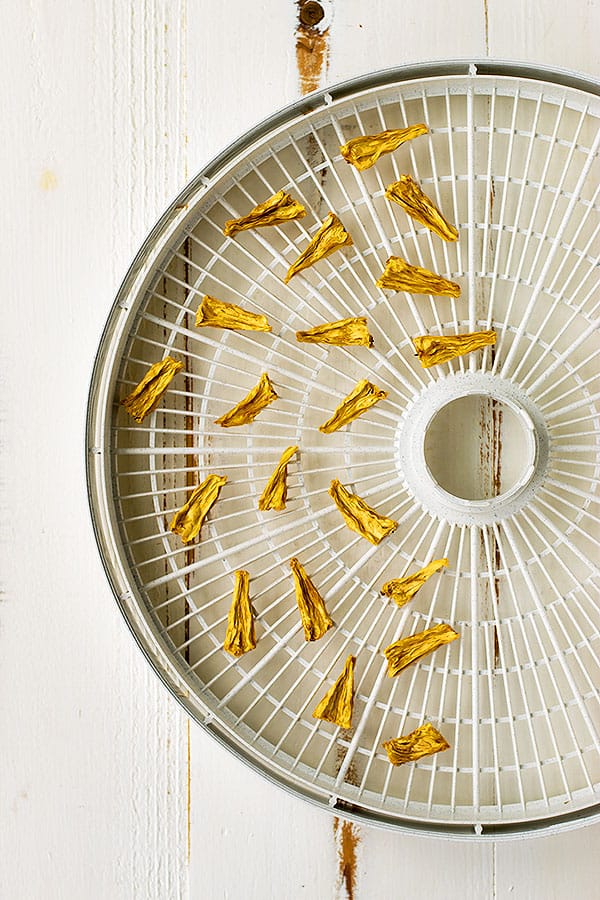 One of the fruits that is so easy to dehydrate is grapes. You can add raisins to cookies, granola, and more!
