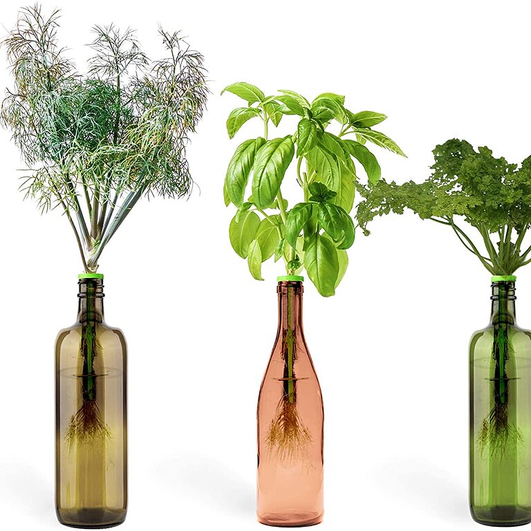 https://www.eatingwell.com/article/7884325/the-best-herb-garden-kits-for-every-type-of-gardener-even-if-you-kill-every-houseplant-you-ve-ever-met/814vqxr5dll-_ac_sl1500_/