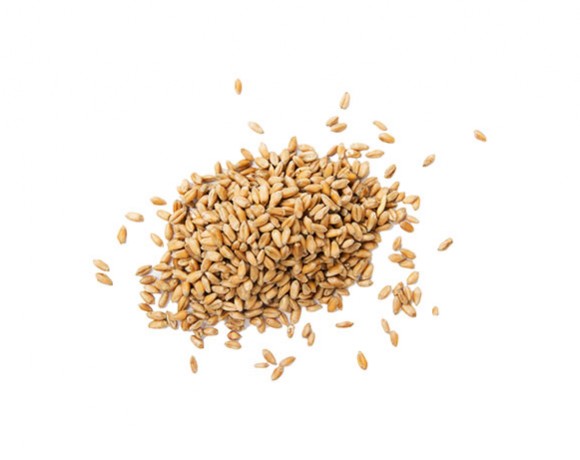 Spelt