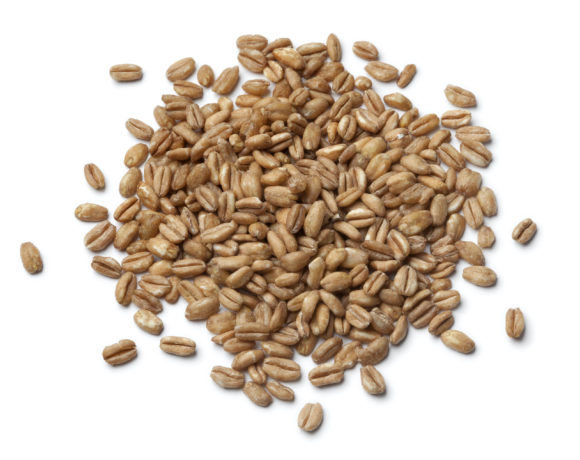 Farro