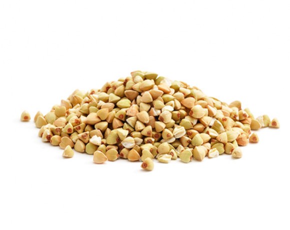 Buckwheat