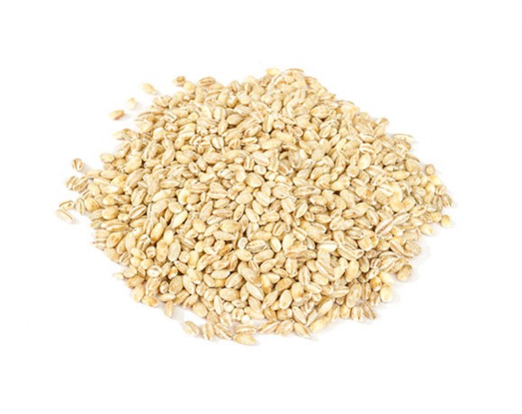 Barley Grains