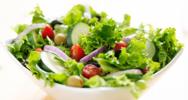 Salad manufacturing & processing for food service