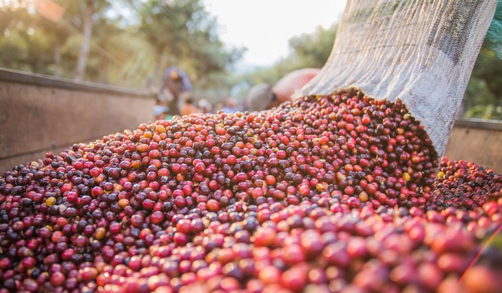 Coffee manufacturing app