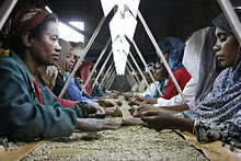 Coffee manufacturing