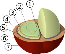 Coffee manufacturing