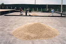 Coffee manufacturing